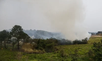 Prejuízos com queimadas em SP passam de R$ 1 bilhão; 22 áreas do Estado permanecem em alerta