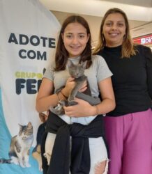 ONG Fera promove, neste fim de semana, evento de adoção de cães e gatos no Patteo Urupema Shopping