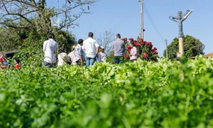 Encontro de agronegócios no Alto Tietê promove inovação e sustentabilidade para agricultores