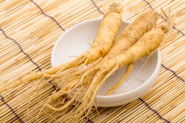 O poder das plantas medicinais: Ginseng, por Sandra Pacca – bióloga e mestre em Farmacologia