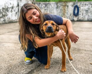 Guararema oferece castração gratuita de cães e gatos por meio do programa Bora Ser Feliz