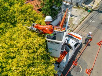 Sete bairros de Suzano recebem ações de poda e manutenção preventiva da EDP neste domingo (25)