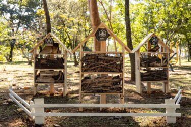 Itaquaquecetuba inaugura “Hotel de Insetos” para fortalecer biodiversidade e a educação ambiental