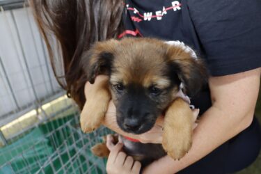 ‘Baby, me Leva!’ promove mais uma edição no Parque Max Feffer, em Suzano, neste domingo (29)