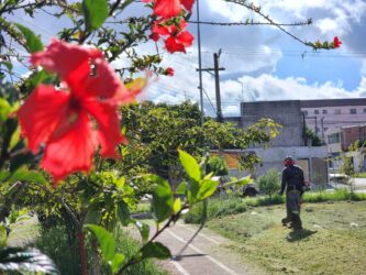 Mais de cem espaços verdes de lazer recebem cuidados do Meio Ambiente no ano em Suzano