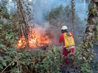 Estado de São Paulo em alerta vermelho: risco extremo de incêndios nos próximos dias