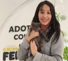 Patteo Urupema Shopping tem novo evento de adoção de cães e gatos no sábado