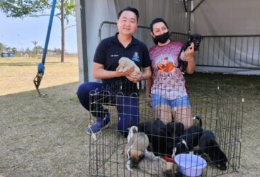 Próxima edição do ‘Baby, me Leva!’ terá 30 animais para adoção; última ação garantiu 11 lares