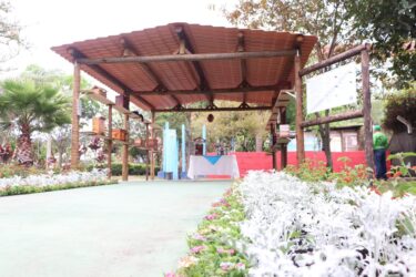 Dia da Abelha: meliponário de Suzano abre no Viveiro Municipal com oficinas de meliponicultura