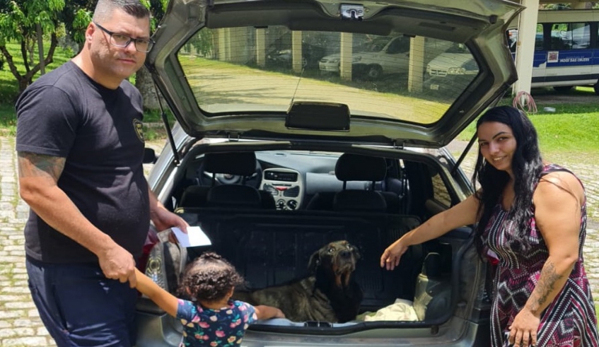 Microchip implantado pelo Núcleo de Bem-Estar Animal (Nubea) auxilia na localização de rottweiller