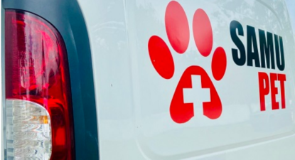 Vereador Otto Rezende apresenta proposta de resgate emergencial para cães e gatos em Mogi