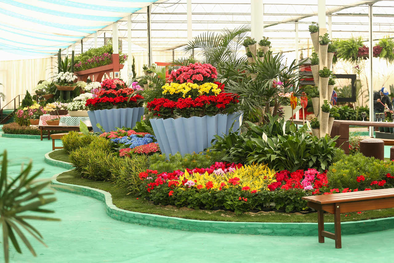 Região do Alto Tietê terá Parque Permanente de Flores com entrega prevista para agosto