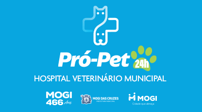 Interna 2 – 416×230 – Mogi (PET)