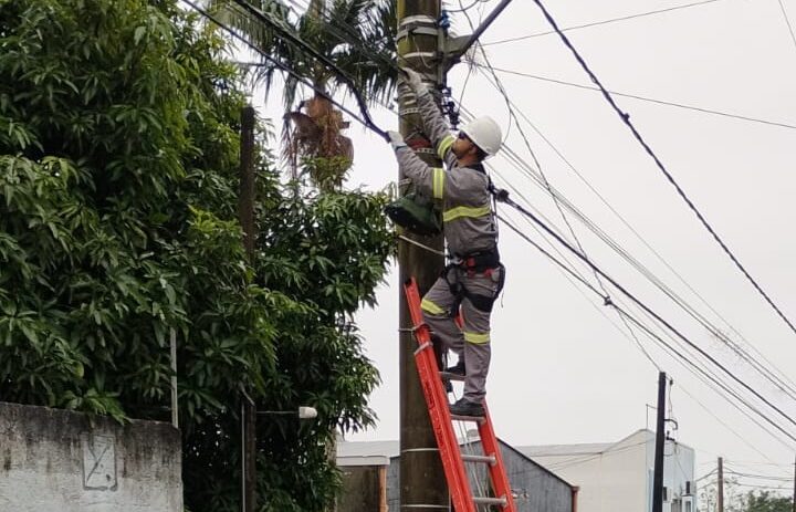 Prefeitura de Suzano solicita e EDP inicia remoção de fios irregulares de internet e telefonia