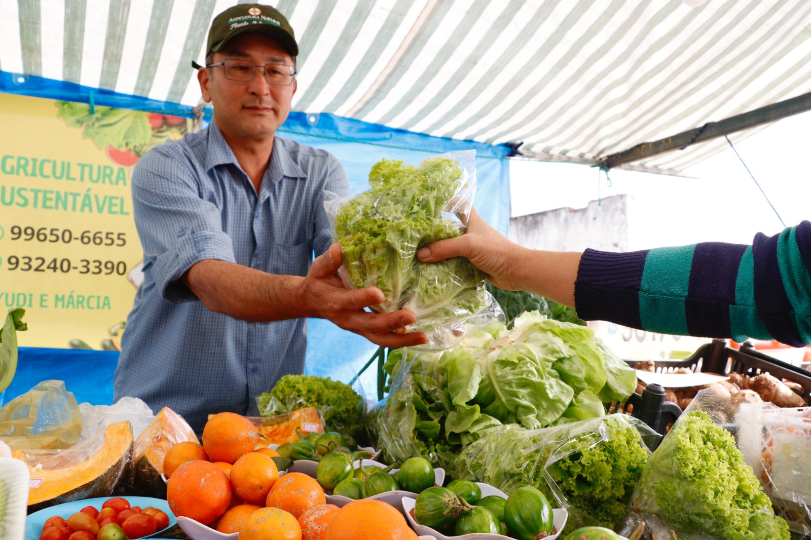 Suzano tem cinco feiras livres que comercializam produtos agroecológicos e orgânicos
