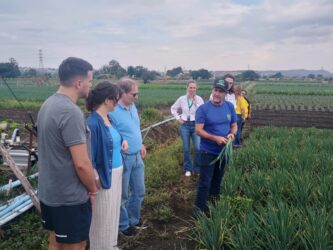 Iniciativas apoiadas pela Suzano fortalecem a agricultura familiar e beneficiam 4 mil pessoas