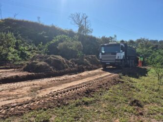 Obra da Ponte da Volta Fria terá reaproveitamento de materiais vegetais em área municipal