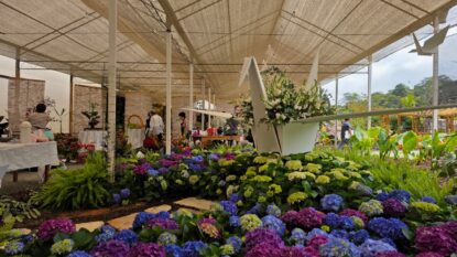 Expo Aflord oferece workshops gratuitos de jardinagem com Gaspar Yamasaki em Arujá