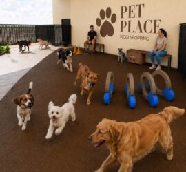 Pets e tutores ganham novo espaço de convivência com primeiro pet place em shopping da região