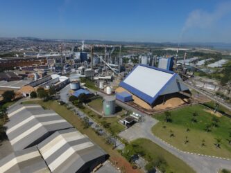 Suzano abre vagas para jovens aprendizes com início do programa em janeiro de 2027