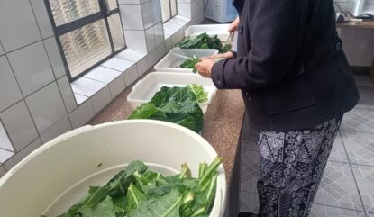 Escolas de Mogi terão servidores responsáveis por conferir a qualidade dos alimentos da merenda