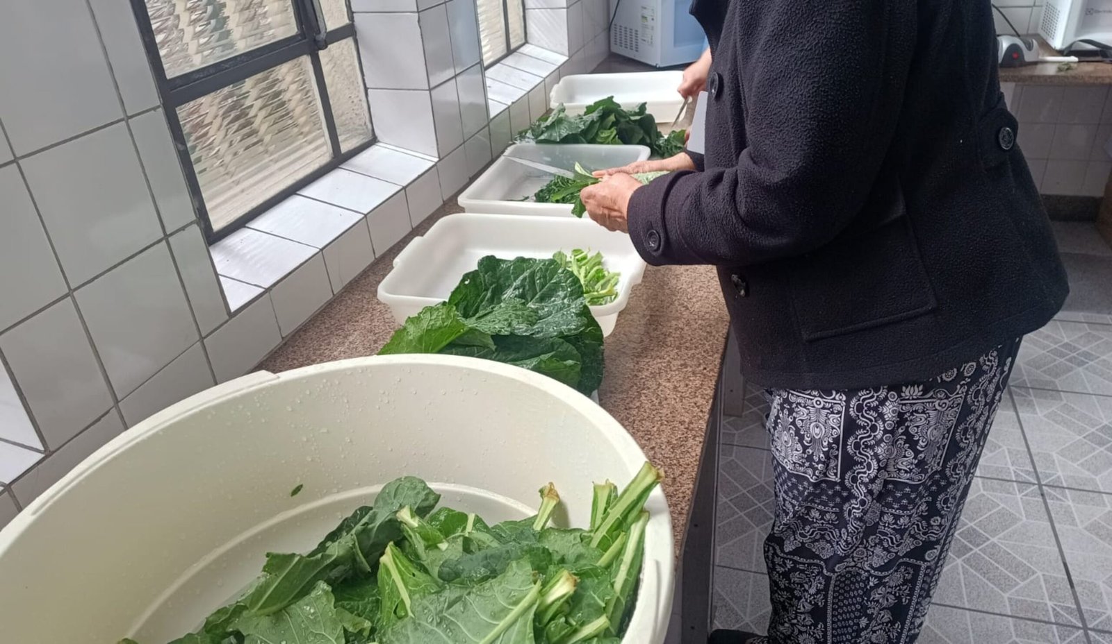 Escolas de Mogi terão servidores responsáveis por conferir a qualidade dos alimentos da merenda