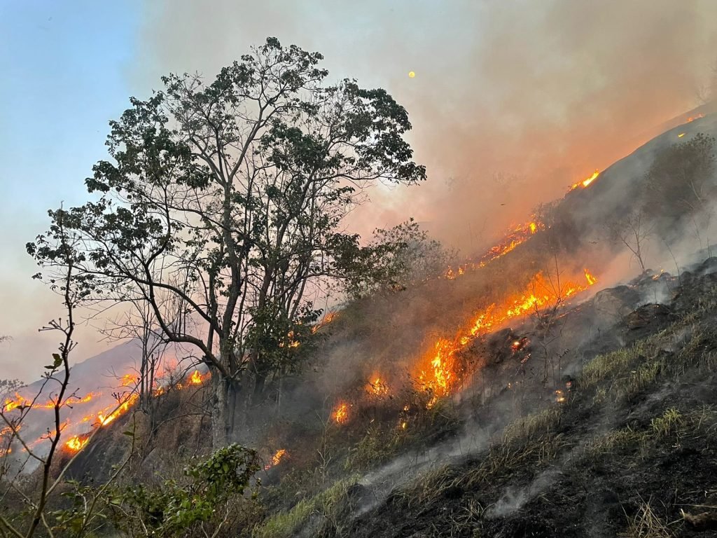 Mogi das Cruzes elabora plano de contingência para períodos de estiagem e risco de queimadas