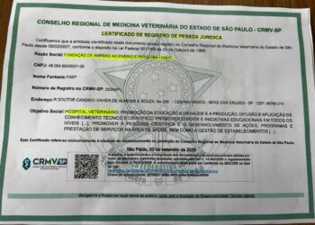 Conselho Regional de Medicina Veterinária confirma Pró-Pet na categoria de hospital