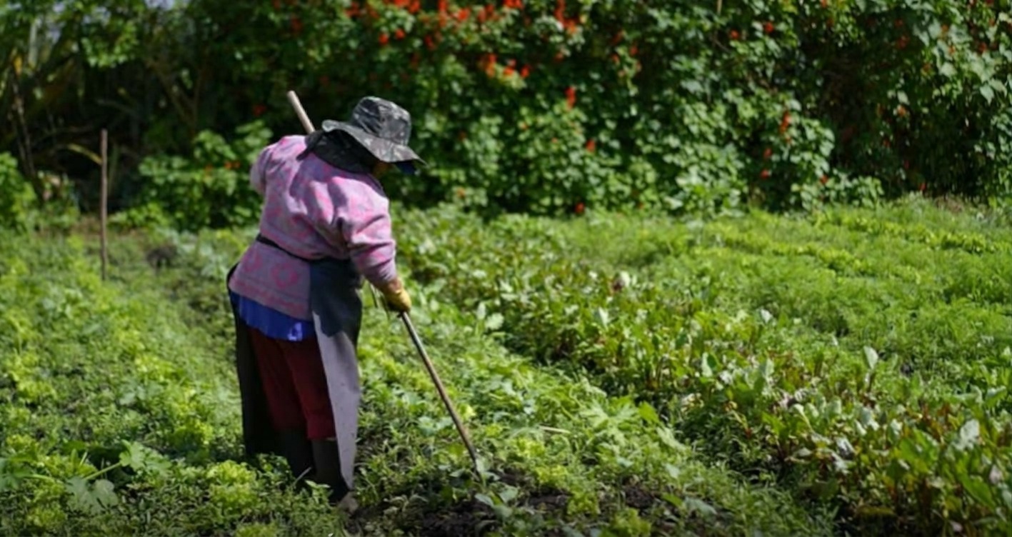 Dia da Mulher Rural reforça papel das mulheres na agricultura familiar apoiada pela Suzano